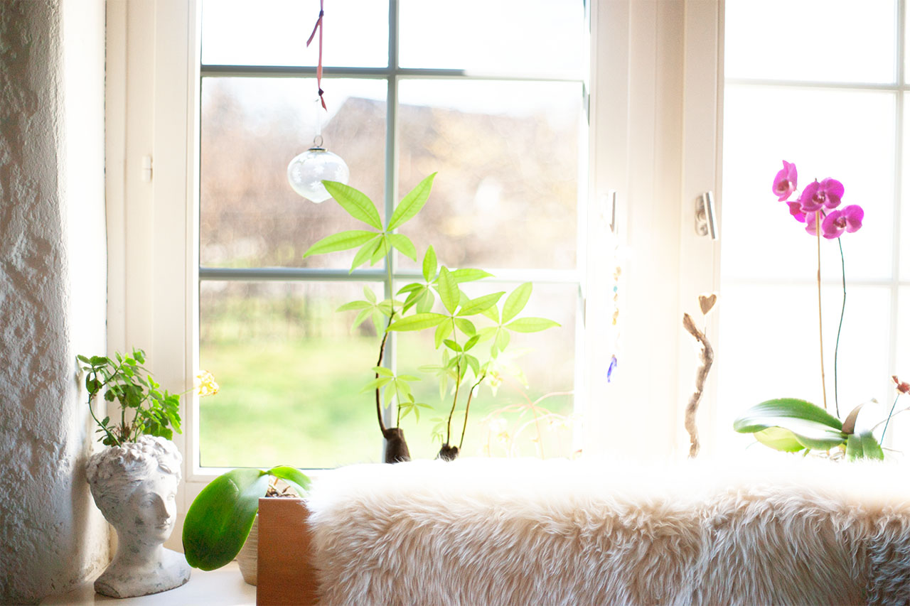 Lützelhuus Blick aus dem Kaminzimmer 18-03-2025