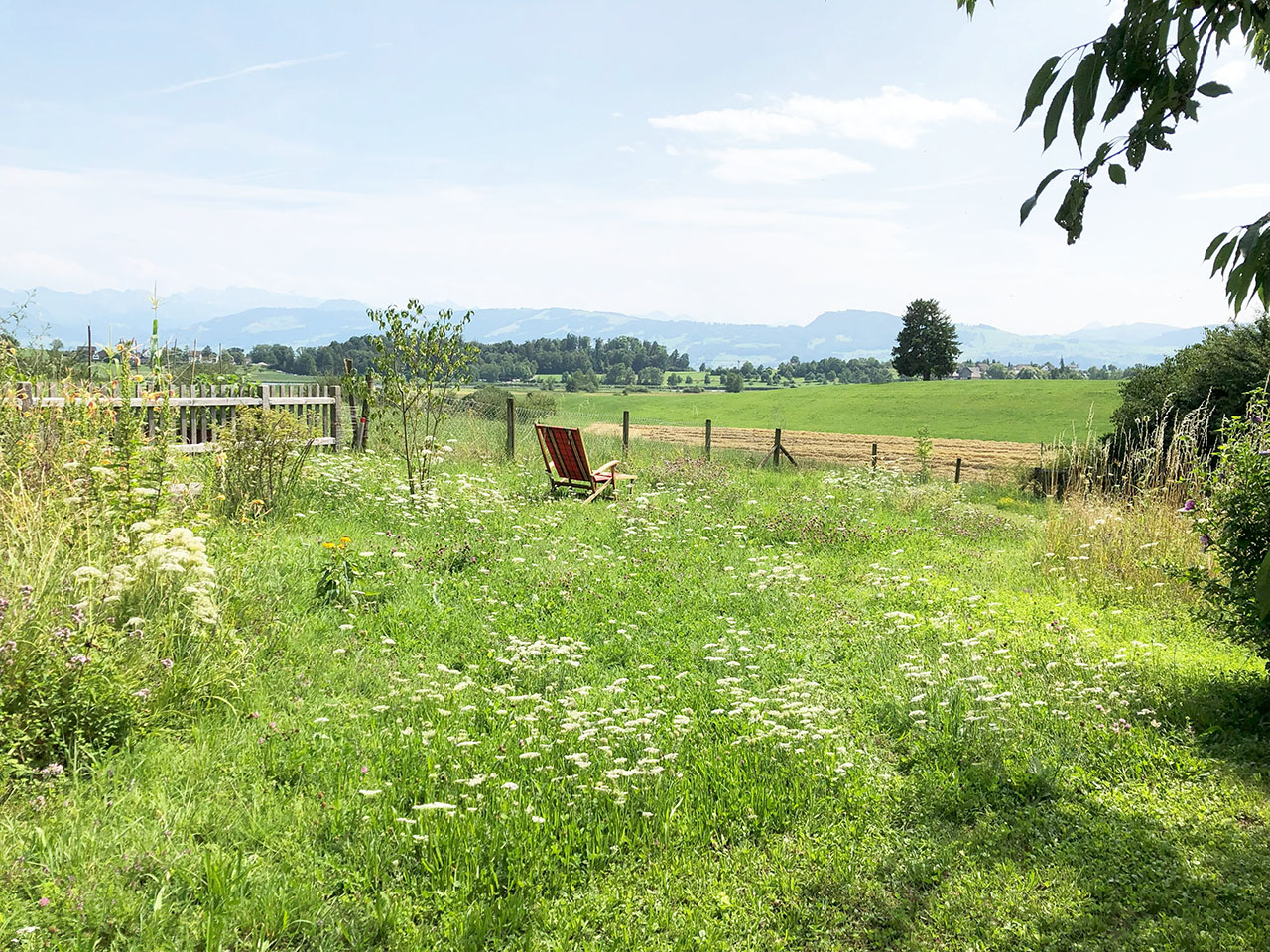 Lützelhuus Garten mit Blick auf die Schwyzer Alpen 23-07-2023
