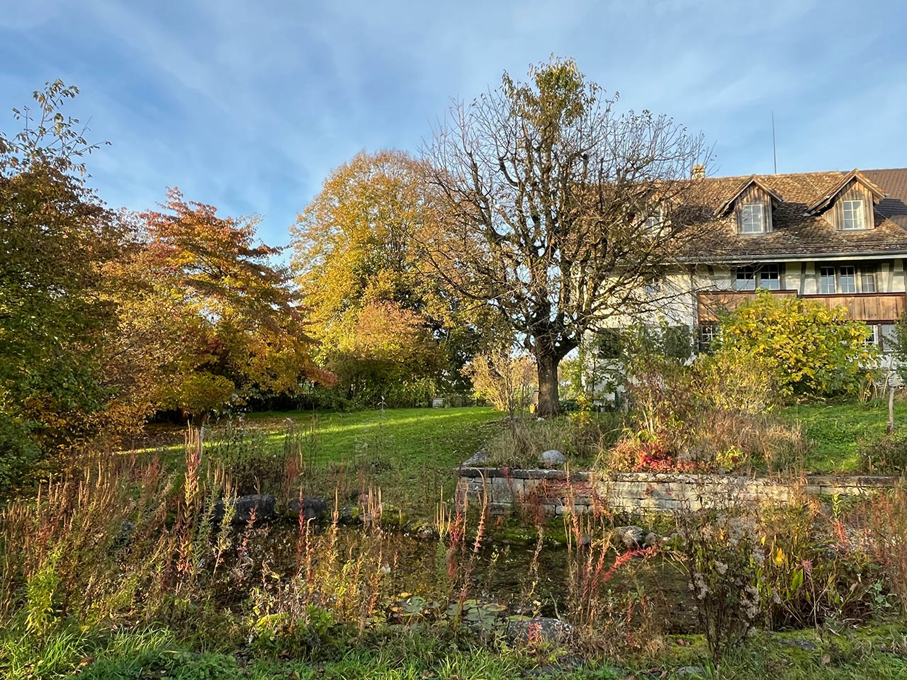 Lützelhuus Garten Herbst 20-10-2024