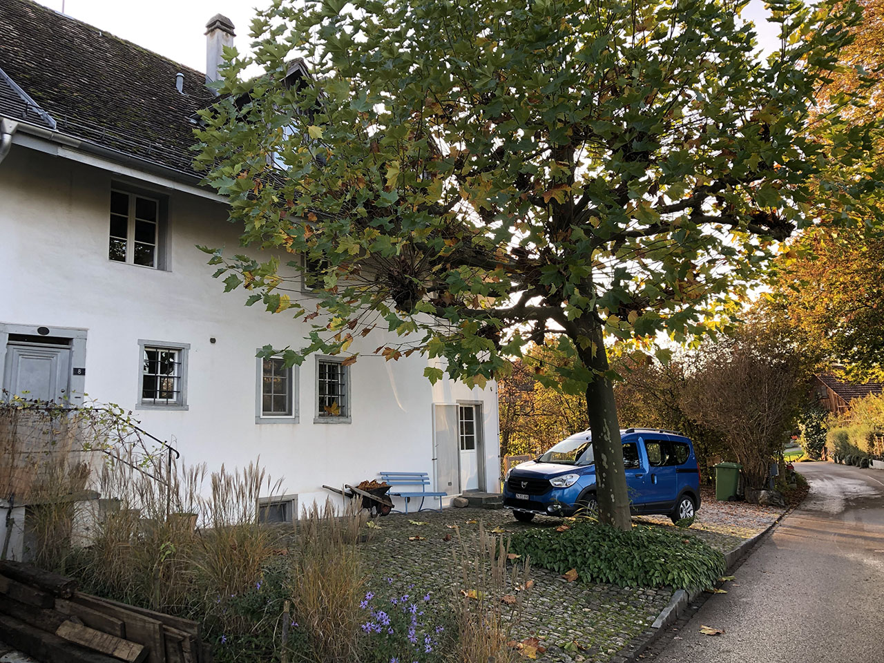 Lützelhuus Haus mit Platane 11-2022
