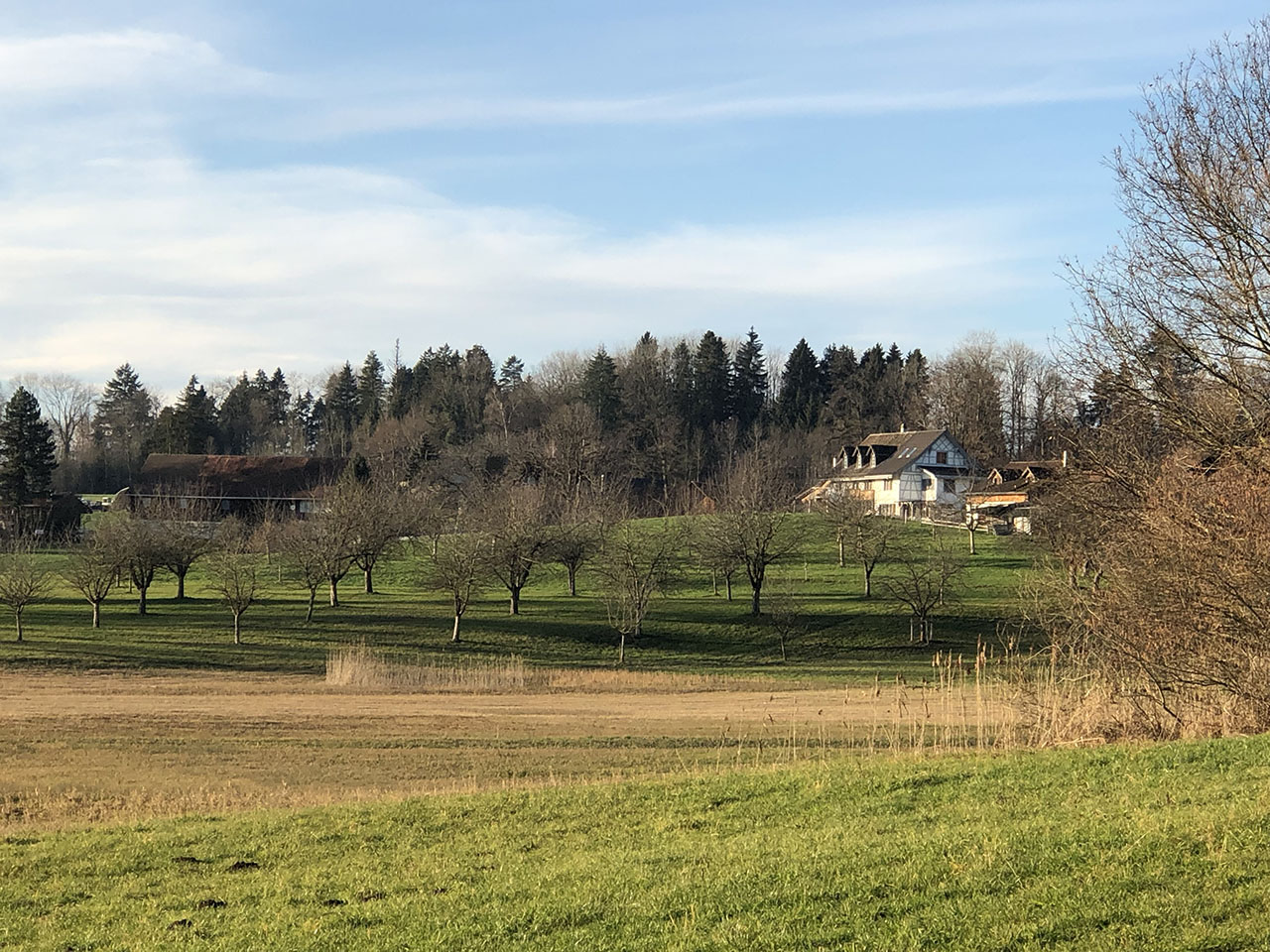 Lützelhuus Blick zum Haus vom Seeweg 12-2022