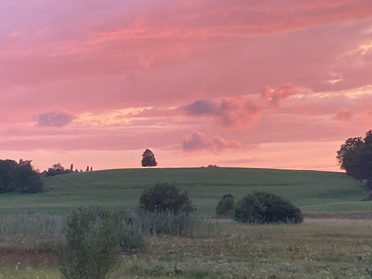 Lützelhuus Sonnenuntergang im Naturschutzgebiet Lützelsee 24-07-2023