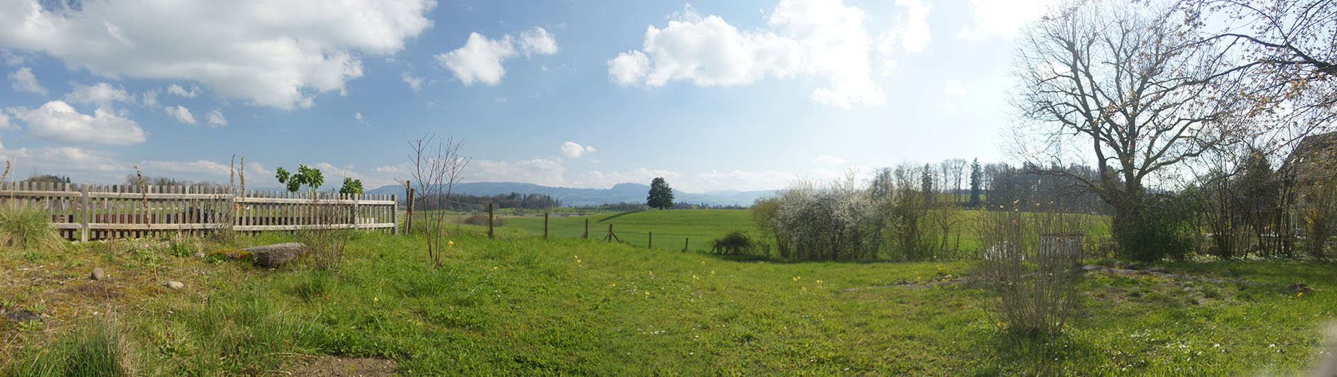 Lützelhuus Garten 9.4.2023