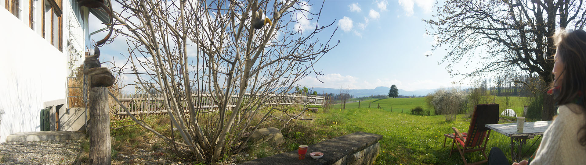Lützelhuus Heike im Garten April 2023