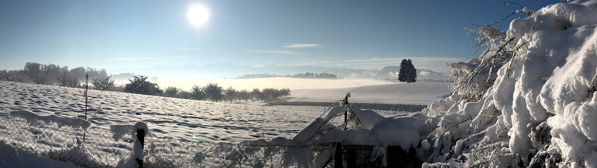 Lützelhuus Garten und Haus, Dez 2023