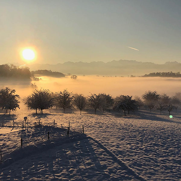 Morgenstimmung Lützelhuus